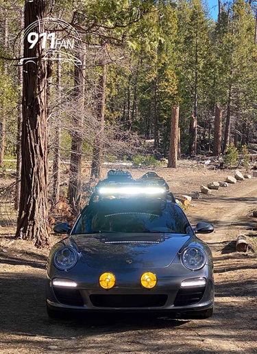 Porsche 911 Carrera (type 997) in Californian forest